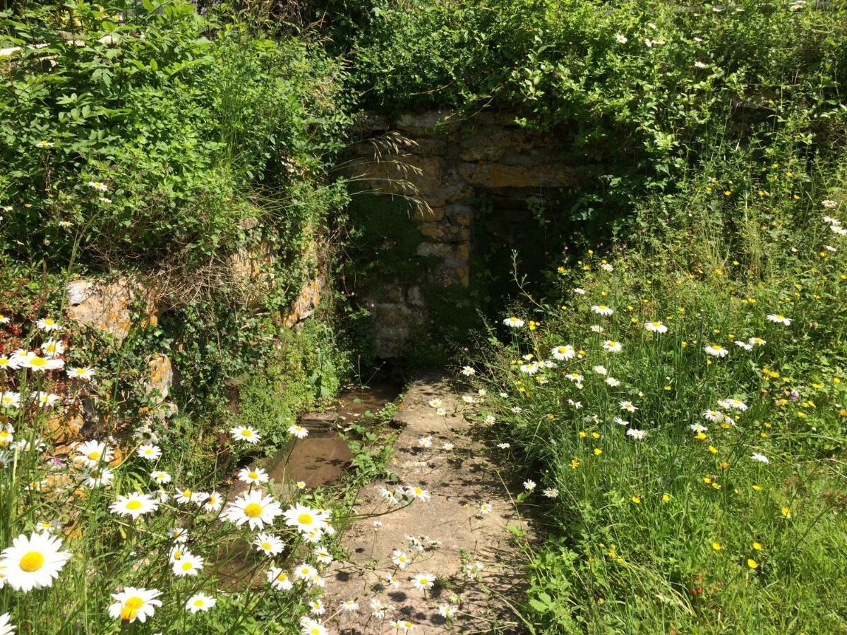 Yew Tree Cottage Bath Dış mekan fotoğraf
